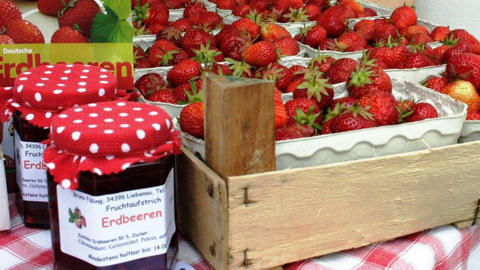 frische Erdbeeren und Marmelade