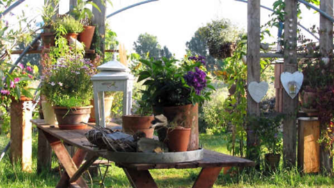 Garten Gut Waldhof Garten Gut Waldhof