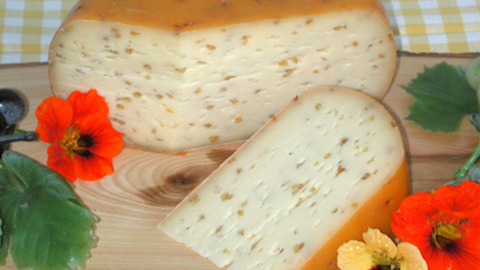 Käse mit Bockshornkleesamen Käse mit Bockshornkleesamen