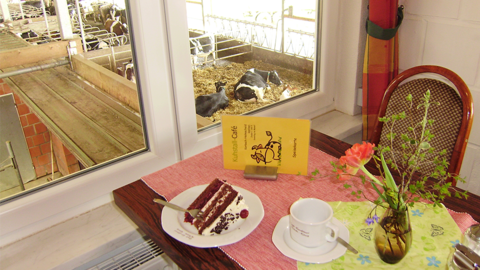 Blick aus dem Café-Bereich in den Kuhstalle Blick aus dem Café-Bereich in den Kuhstalle