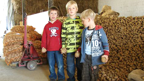 Kinder im Kartoffellager
