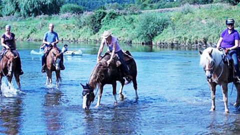 Reiter mit Pferd im Flußbett Reiter mit Pferd im Flußbett
