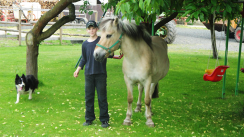 Kind mit Pony und Hund unter Baum
