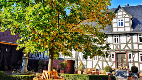 Fachwerkhaus im Hofgut