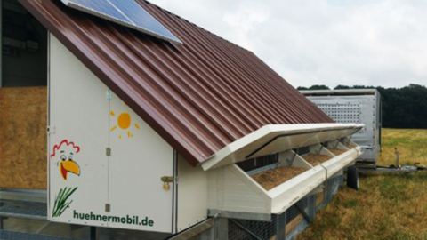 Hühnermobil auf der Wiese