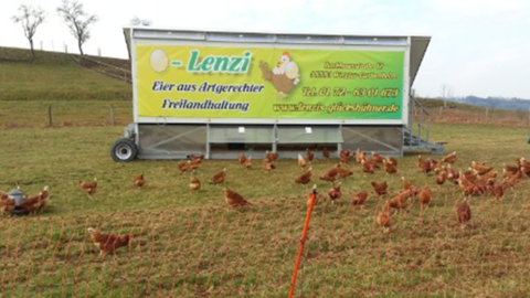 Hühnermobil mit Hühnern auf der Wiese