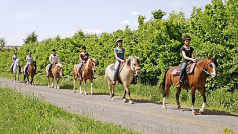 Pferdegruppe mit Reitern Pferdegruppe mit Reitern