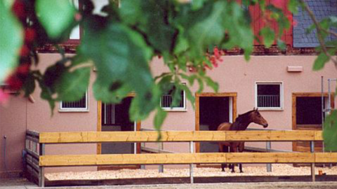 Blick auf Stalltür mit Pferde-Ausflauf 