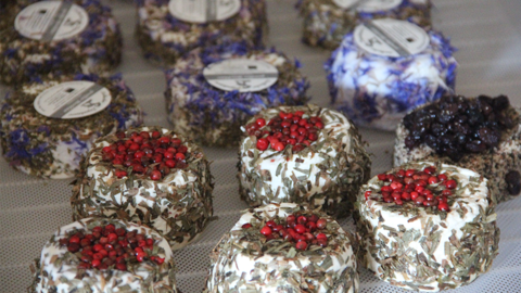 selbst hergestellter Käse