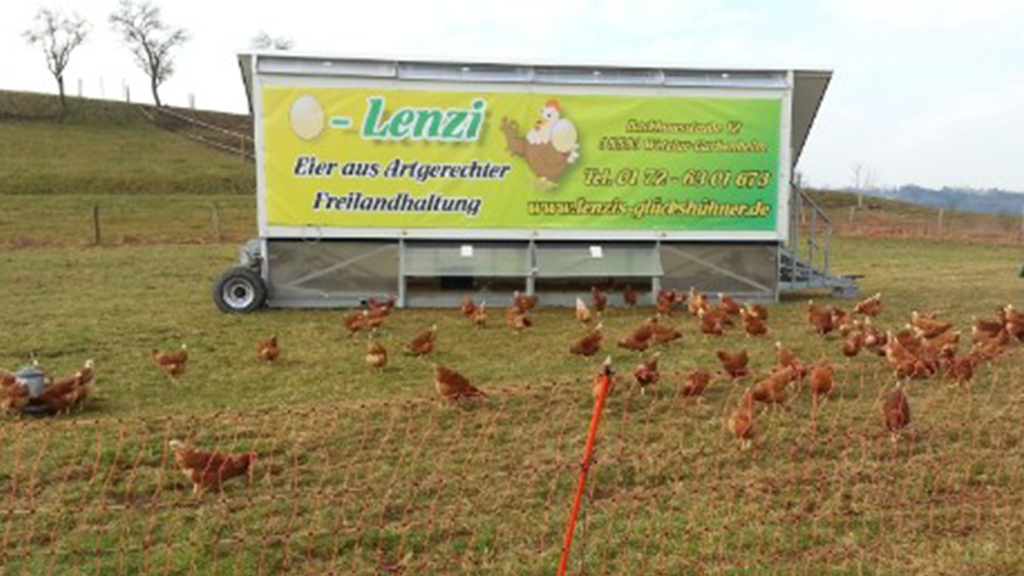 Lenzis Glückshühner | Landservice.hessen.de